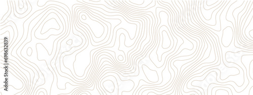 Transparent PNG Topographic line map.  Modern design with White background with topographic wavy pattern design. photo