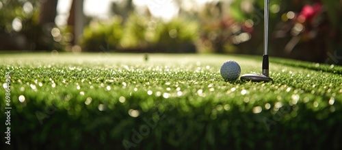 Miniature golf equipment in artificial grass.