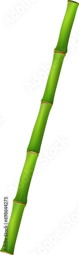 Bamboo with stalk, branch and leaves.Green bamboo grove. Banner design. illustration on transparent, png.realistic style