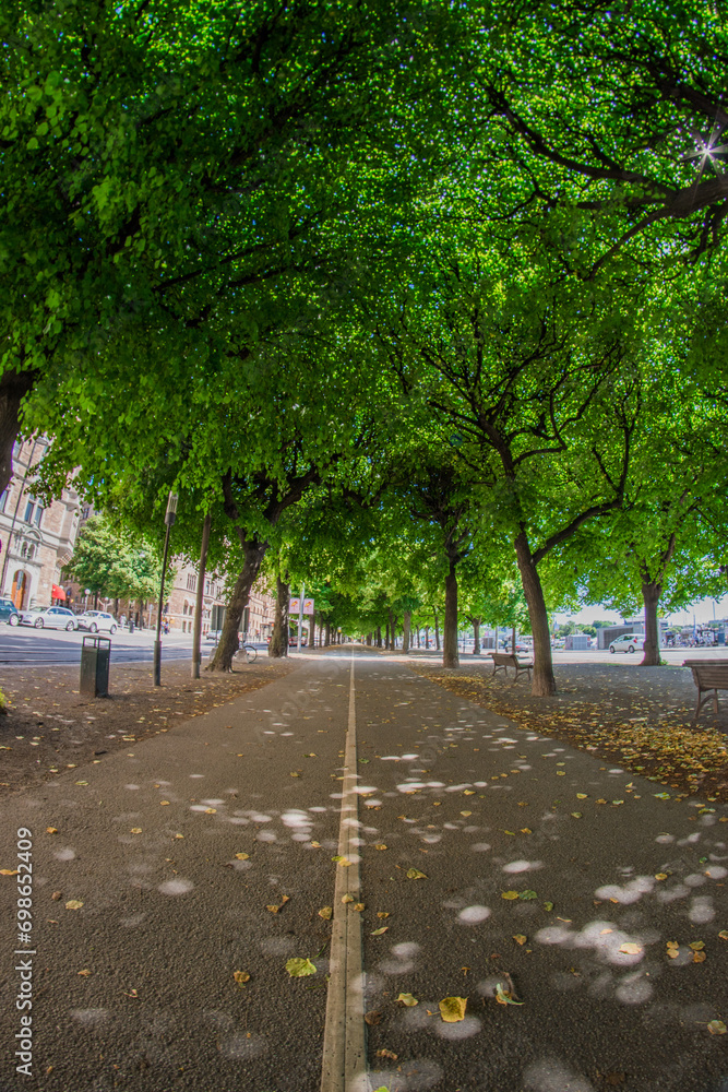 The Way Forward on a Green Avenue with City Street and Park Foliage