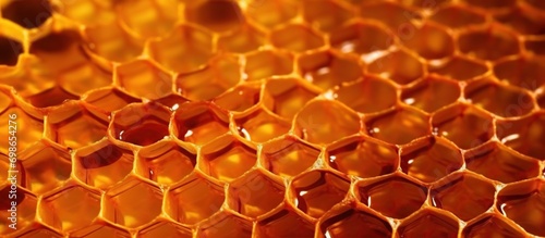 detailed honeycomb background