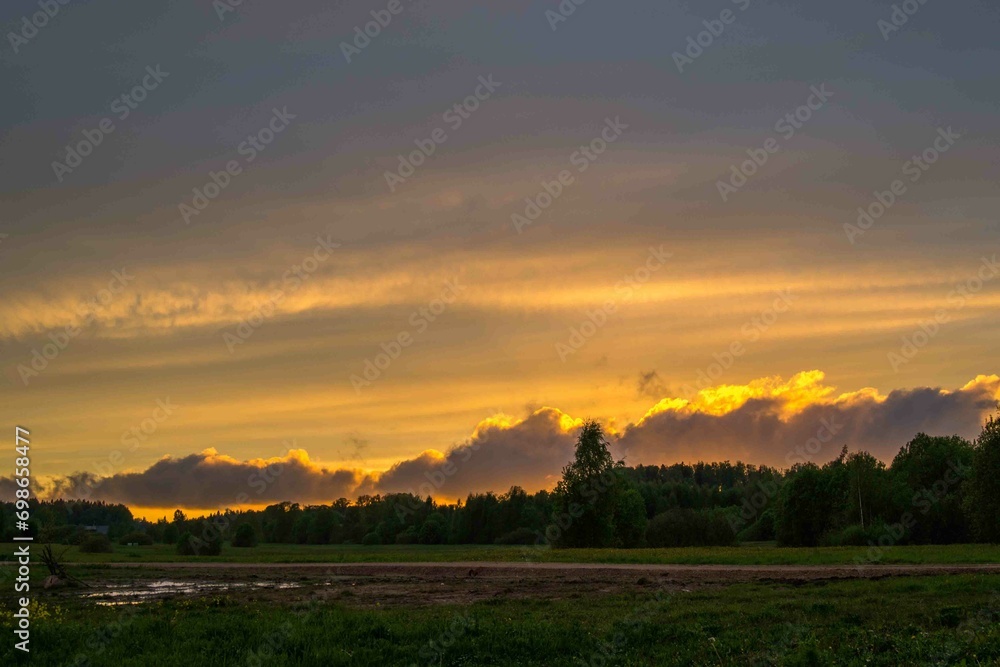 Tranquil sunset over green meadow and tree on horizon