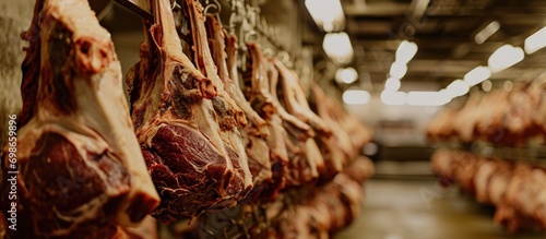 Halal cut lamb carcasses hung on hooks in a refrigerated warehouse. photo