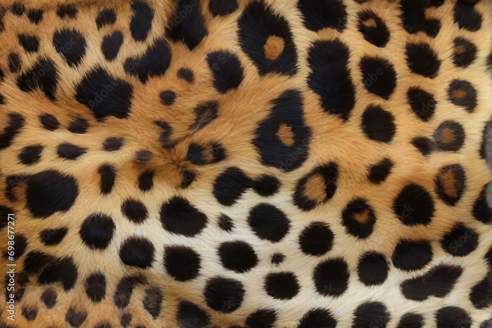 leopard fur background leopard fur background