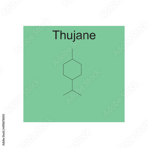 Thujane skeletal structure diagram.Monoterpene ketone compound molecule scientific illustration on green background.