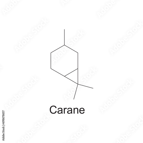 Carane skeletal structure diagram.Monoterpene ketone compound molecule scientific illustration on white background. photo