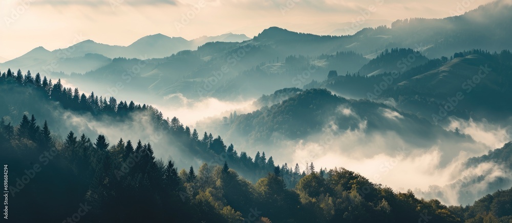 Gorgeous misty mountains at dawn with no sunlight. - obrazy, fototapety, plakaty 