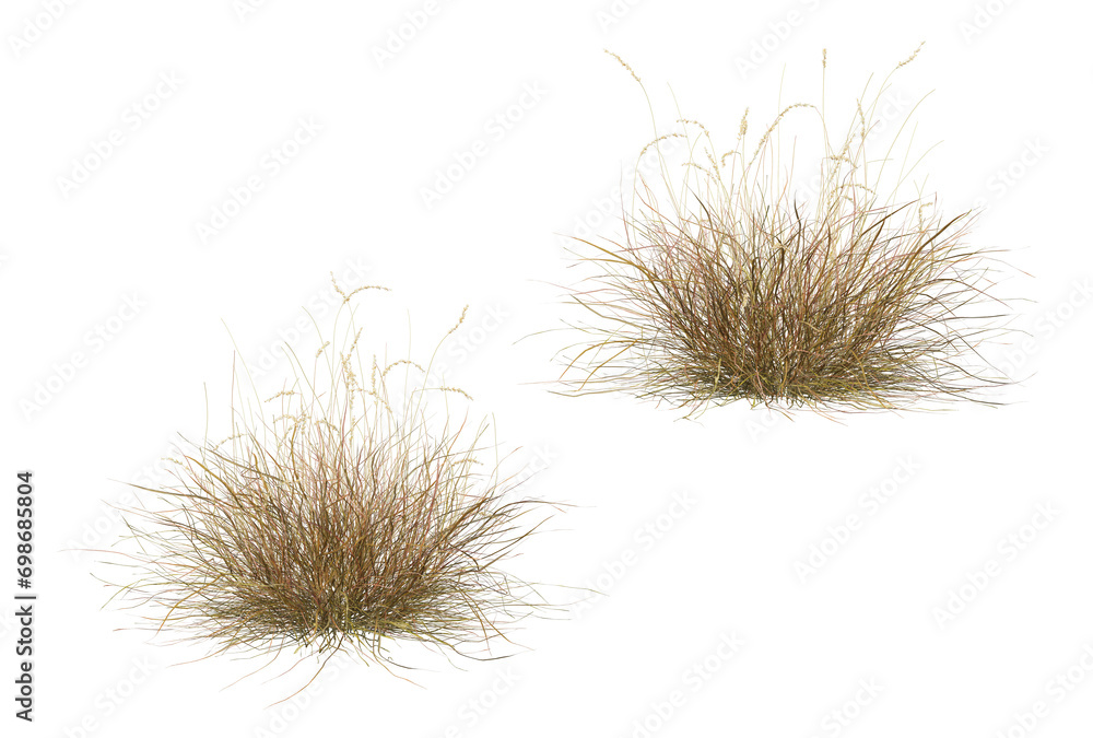 Hay on transparent background