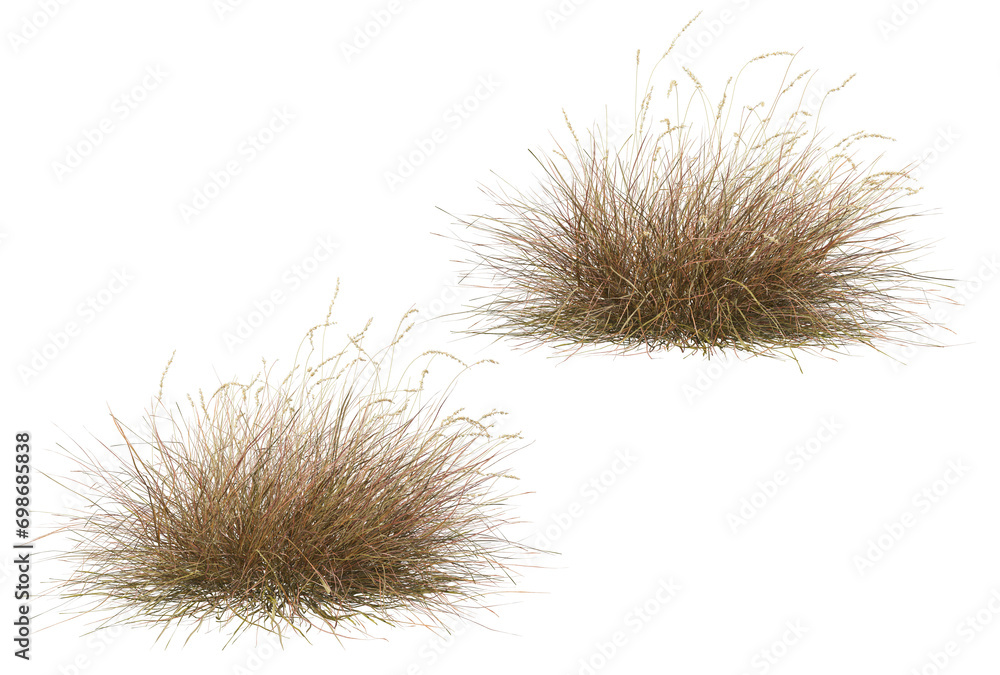 Hay on transparent background Hay on transparent background