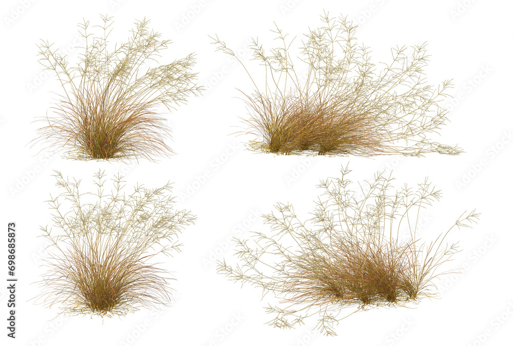 Fototapeta premium Hay on transparent background