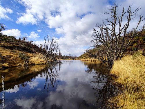 A lake on an island in Patagonia, Argentina, Tierra del Fuego photo