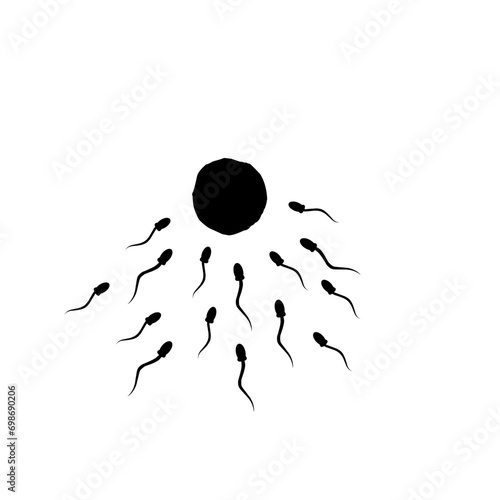 Egg cell with sperm fertilization new life illustration