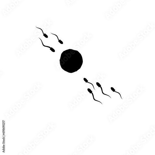 Egg cell with sperm fertilization new life illustration