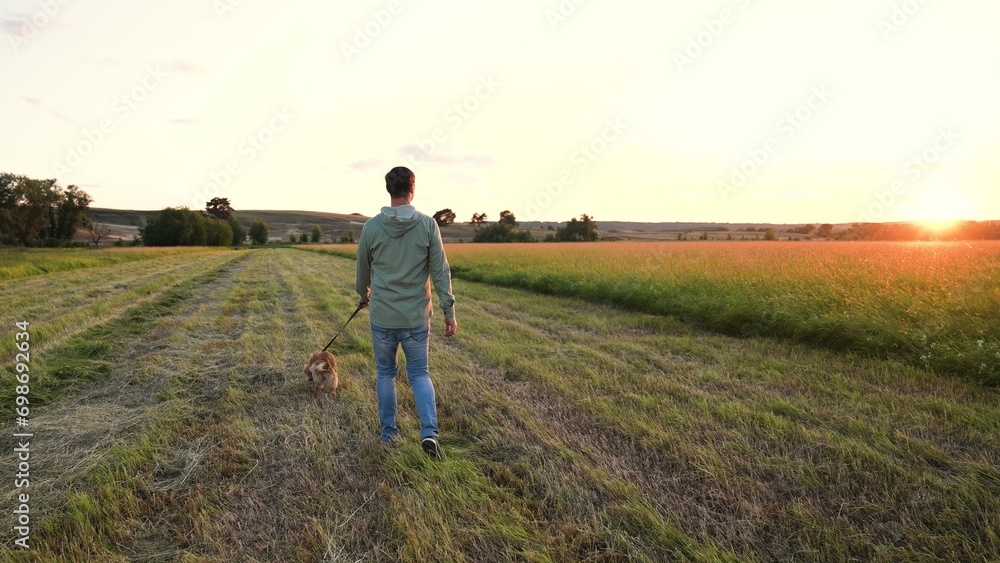Owner walks with cocker spaniel dog waving tail along empty field at sunset on horizon owner man enjoys country weekend with dog companion in park man with spaniel dog in evening field on vacation