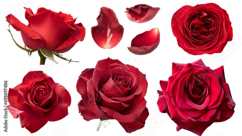 Fototapeta Naklejka Na Ścianę i Meble -  Different part of red rose flower, green leaves, isolated on transparent background