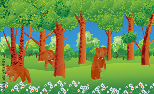 Three bears playing hide-and-seek on a glade of the forest. Vector illustration of a beautiful forest landscape.