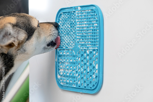 cute dog using lick mat for eating food slowly photo