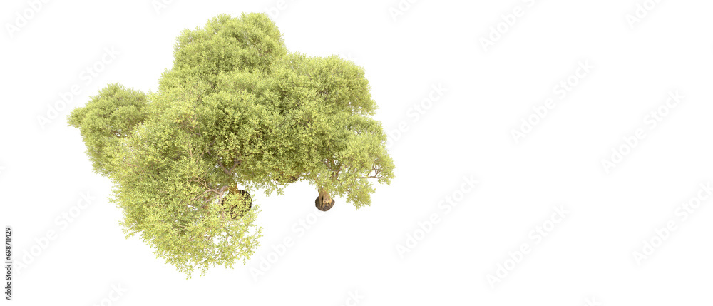 Green forest isolated on background. 3d rendering - illustration Green forest isolated on background. 3d rendering - illustration