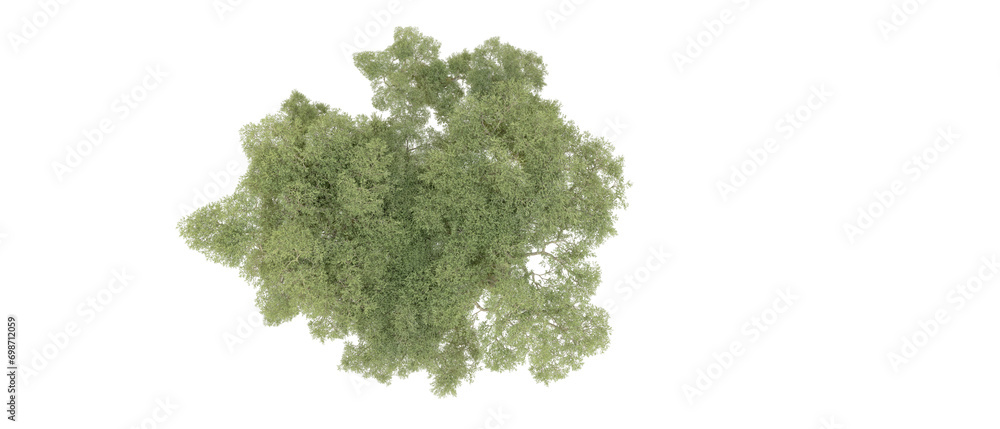 Green forest isolated on background. 3d rendering - illustration Green forest isolated on background. 3d rendering - illustration