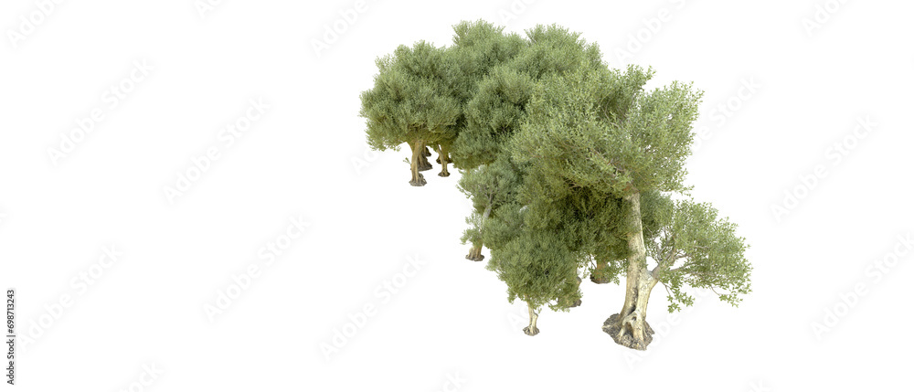 Fototapeta premium Green forest isolated on background. 3d rendering - illustration