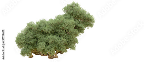 Green forest isolated on background. 3d rendering - illustration
