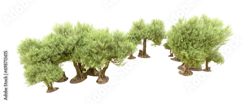 Green forest isolated on background. 3d rendering - illustration