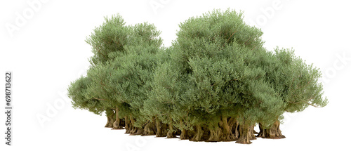 Green forest isolated on background. 3d rendering - illustration