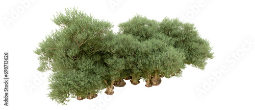 Green forest isolated on background. 3d rendering - illustration