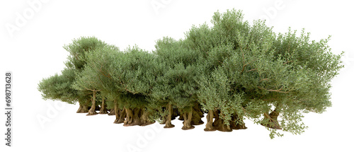 Green forest isolated on background. 3d rendering - illustration