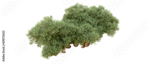 Green forest isolated on background. 3d rendering - illustration