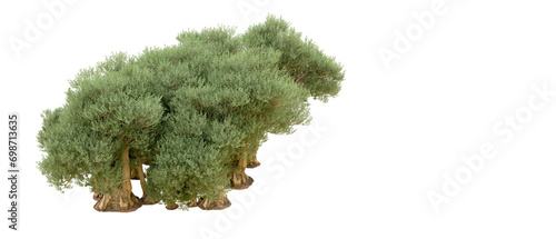 Green forest isolated on background. 3d rendering - illustration