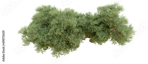 Green forest isolated on background. 3d rendering - illustration