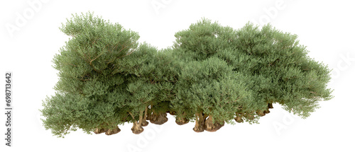 Green forest isolated on background. 3d rendering - illustration