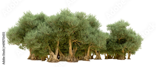 Green forest isolated on background. 3d rendering - illustration