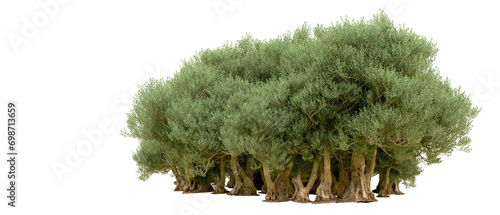 Green forest isolated on background. 3d rendering - illustration