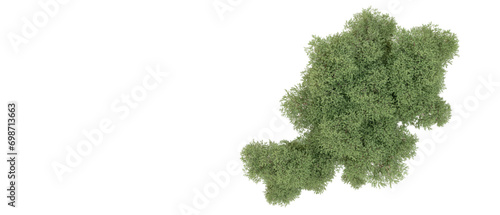 Green forest isolated on background. 3d rendering - illustration