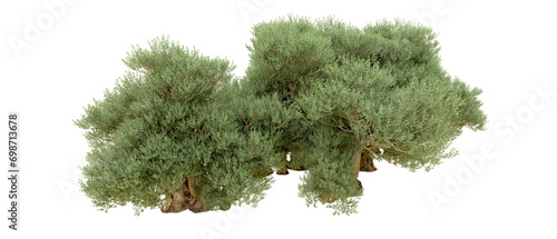 Green forest isolated on background. 3d rendering - illustration