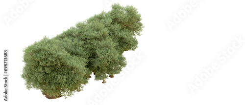 Green forest isolated on background. 3d rendering - illustration