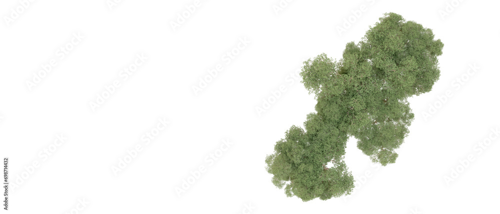 Green forest isolated on background. 3d rendering - illustration Green forest isolated on background. 3d rendering - illustration