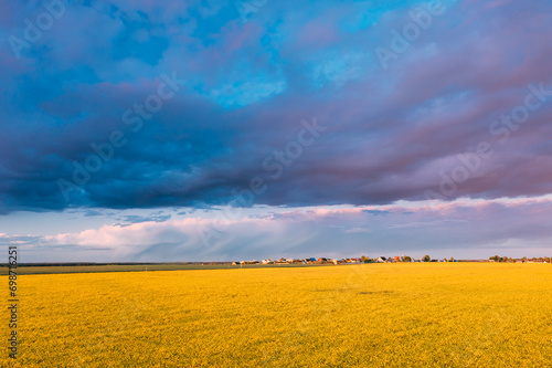 Top Elevated View Of Agricultural Landscape With Flowering Blooming Oilseed Field. Spring Season. Blossom Canola Yellow Flowers. Sunset rain Clouds Above Beautiful Rural Country Landscape. Spring