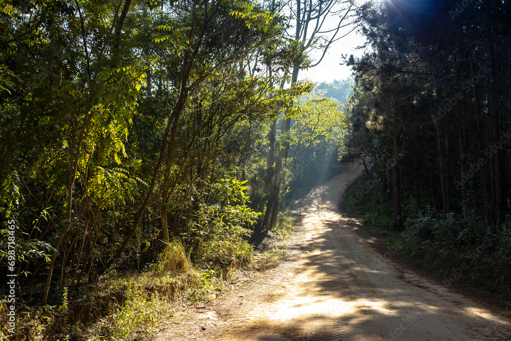 caminho Rural estrada em fazenda