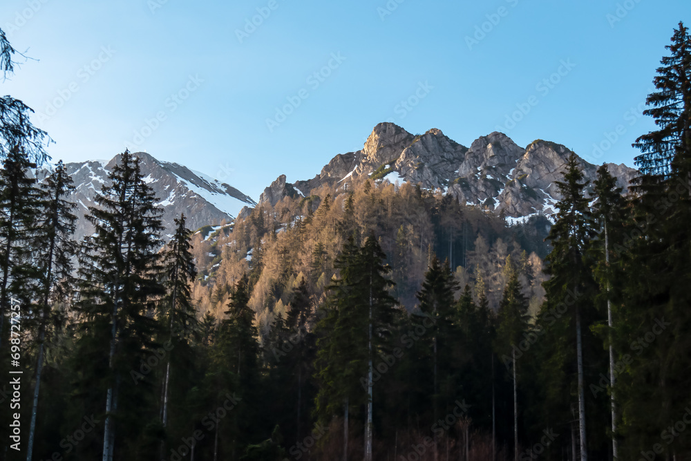 Panoramic morning view on mountain peak Schwarzkogel in Karawanks mountains in Carinthia, Austria. Looking through dense forest. Misty and magical atmosphere in remote landscape in Austrian Alps