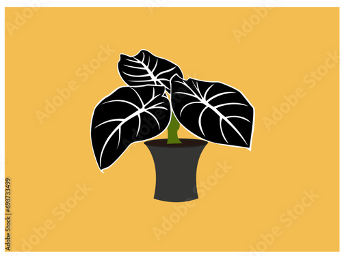 Realistic house platst background isolated vector illustration. Trendy hugge style, urban jungle decor.Isolated on white background.Home plants in flowerpot. Houseplants isolated.