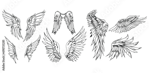Angel wings illustration vector set, wings graphic element, thin line black, angelic feathered vectors, angel wing clipart collection, transparent background