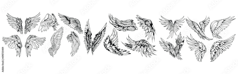 Angel wings illustration vector set, wings graphic element, thin line black, angelic feathered vectors, angel wing clipart collection, transparent background - obrazy, fototapety, plakaty 