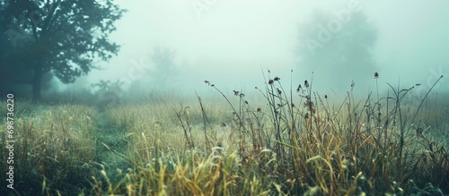 Old photo of misty meadow scenery with grassland and fog. photo