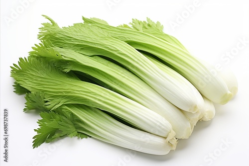 Fresh endive on clean white backdrop, visually stunning for ads and packaging designs