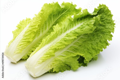 Fresh romaine lettuce on a clean white background for advertisements and packaging designs photo
