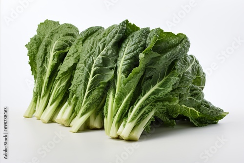 Fresh romaine lettuce on clean white backdrop for eye catching advertisements and packaging designs
