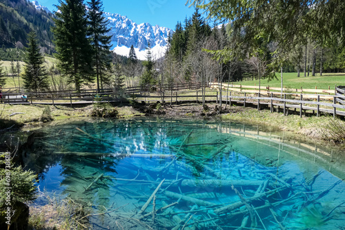 Scenic view of crystal clear waters with submerged logs of Lake Meerauge surrounded by green trees in Boden Valley in Karawanks mountain range in Austria. Turquoise colored pond Austrian Alps